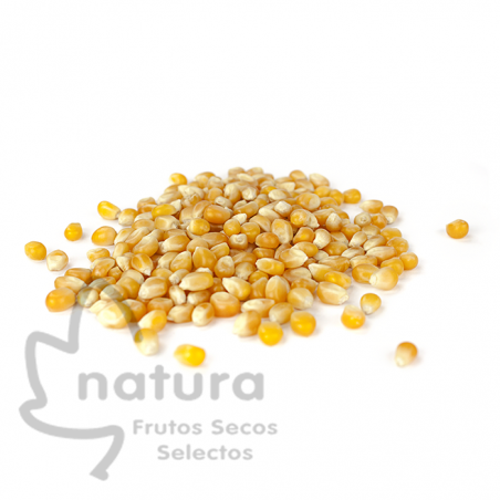 Maiz Palomitas