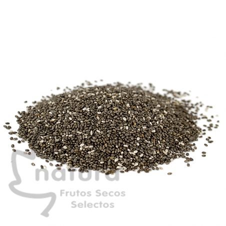 Comprar Semillas de Chia de Salvia hispánica al mejor precio