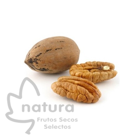Nuez Pecana en Cáscara