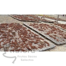 Pasas de Denia